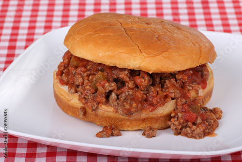 Salsa Sloppy Joe