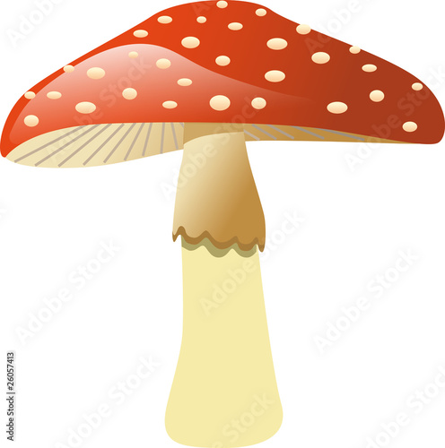 Mushroom - Fly agaric