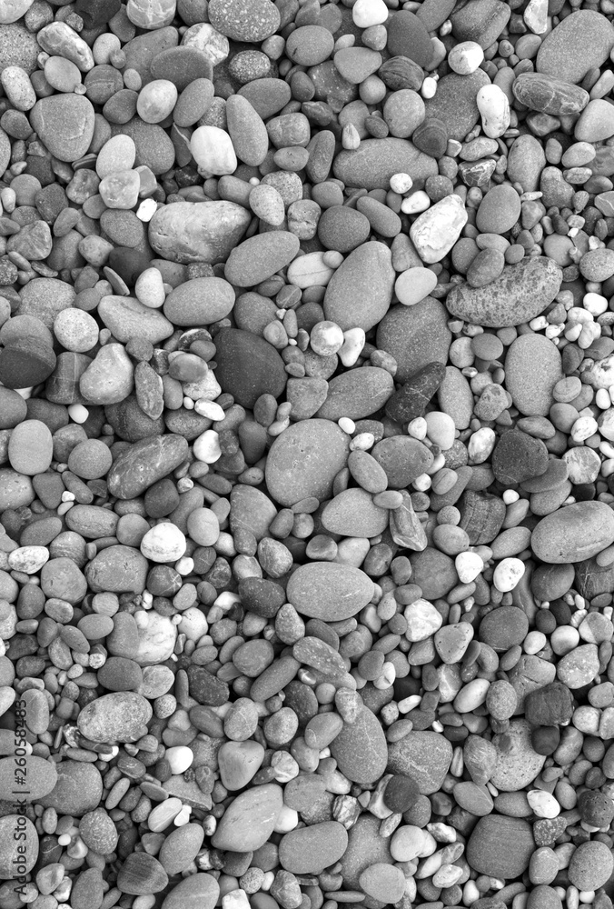 Lots of beach stones in black and white. Lots of beach stones in black and white.