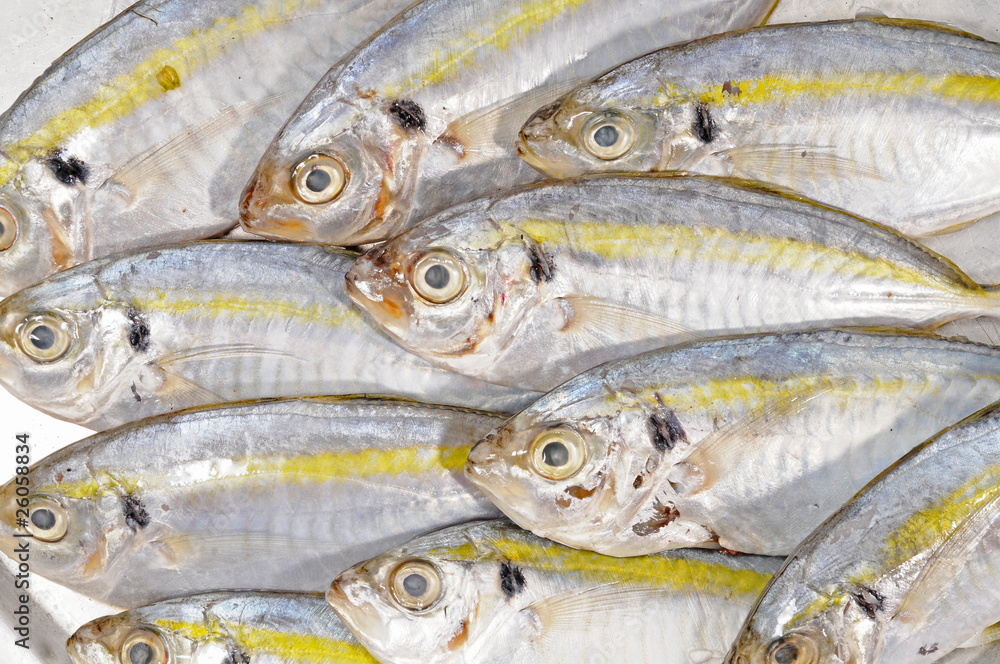 Fresh Fishes At The Market Stall Fresh Fishes At The Market Stall
