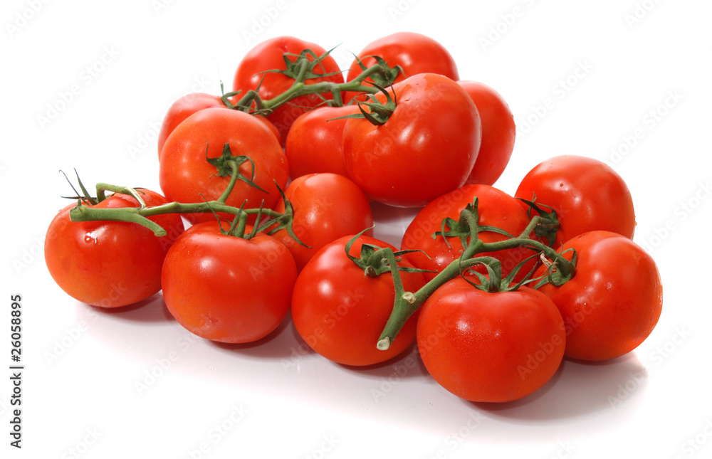 tomatoes on  white