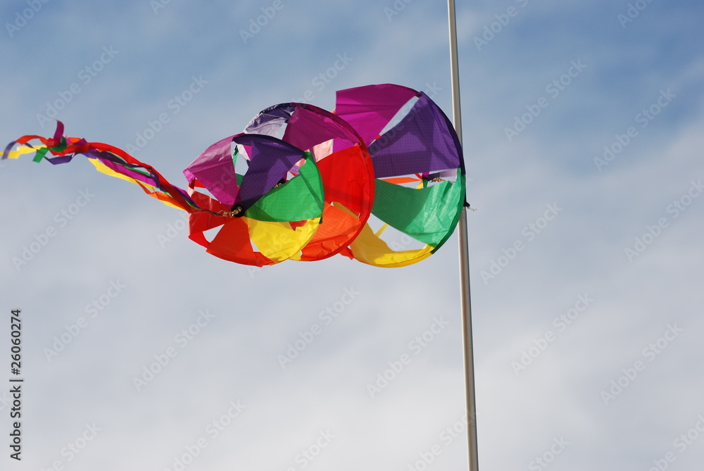 cerf volant cerf volant