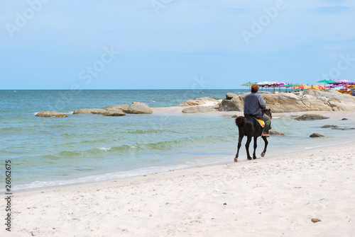 Horses on the beach,Hua-Hin, Thailand