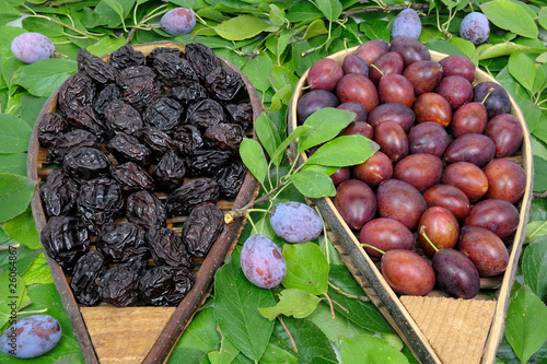 assortiment de pruneaux crus et cuits photo