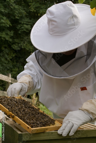 Bee Keeper