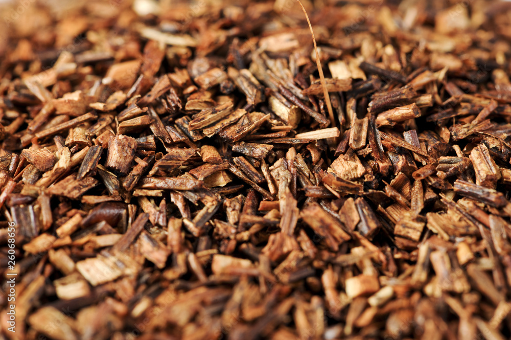 Macro of healthy red bush tea from South Africa Macro of healthy red bush tea from South Africa