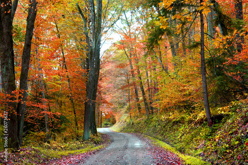 A winding road through colorful trees in autumn
