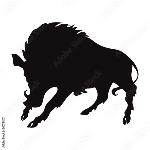 wild boar