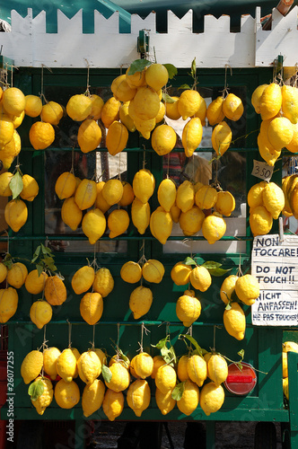 Limoni al mercato