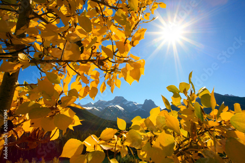 Mount Lougheed in the autumn