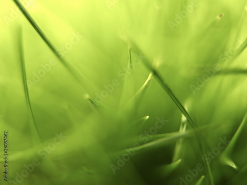 Green Grass