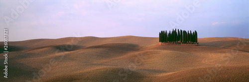 Zypressen auf Ackerlandschaft der Toskana  Italien