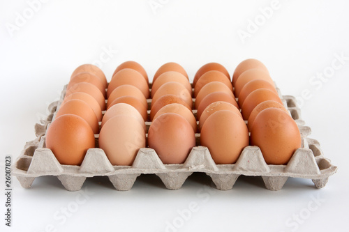 Eggs photo