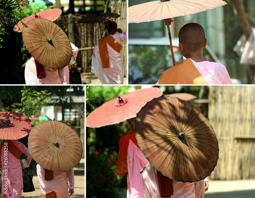 Myanmar woman monks photo