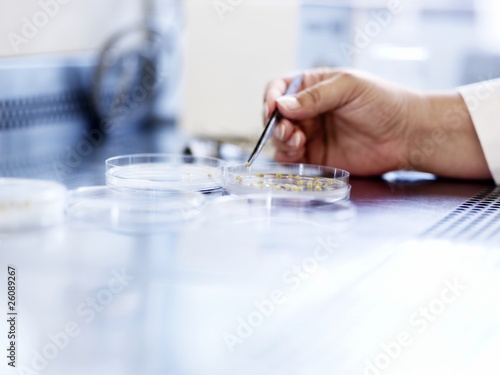 Tweezers
