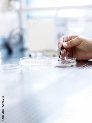 Tweezers