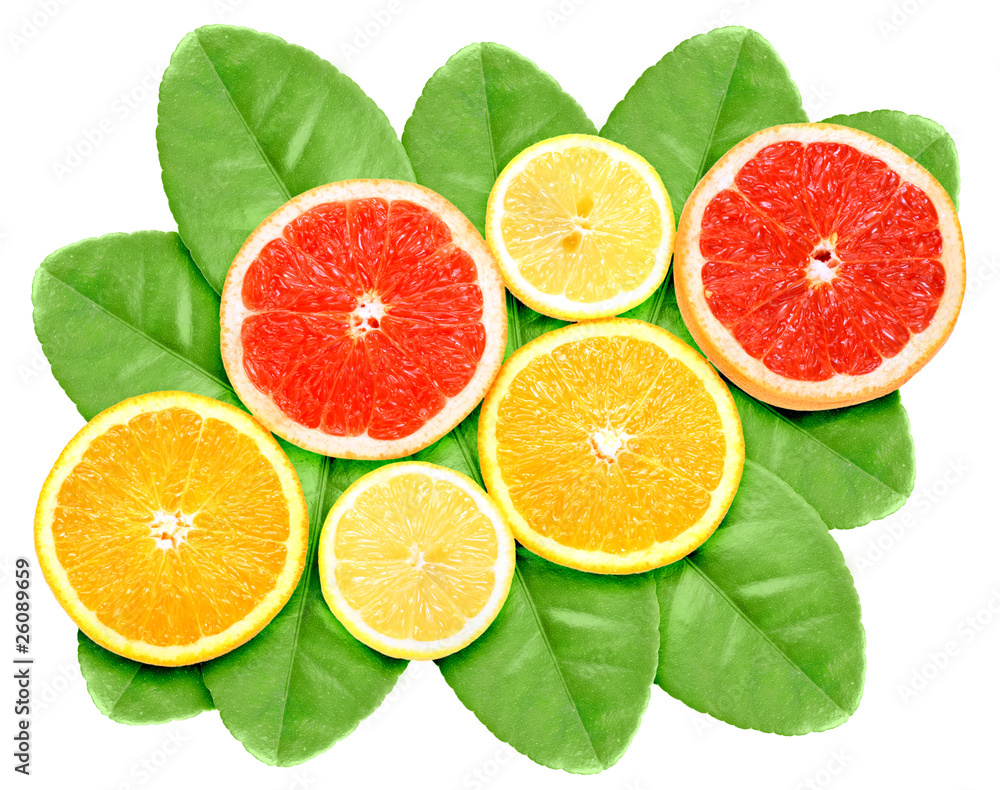 Set of cross citrus fruits on green leaf