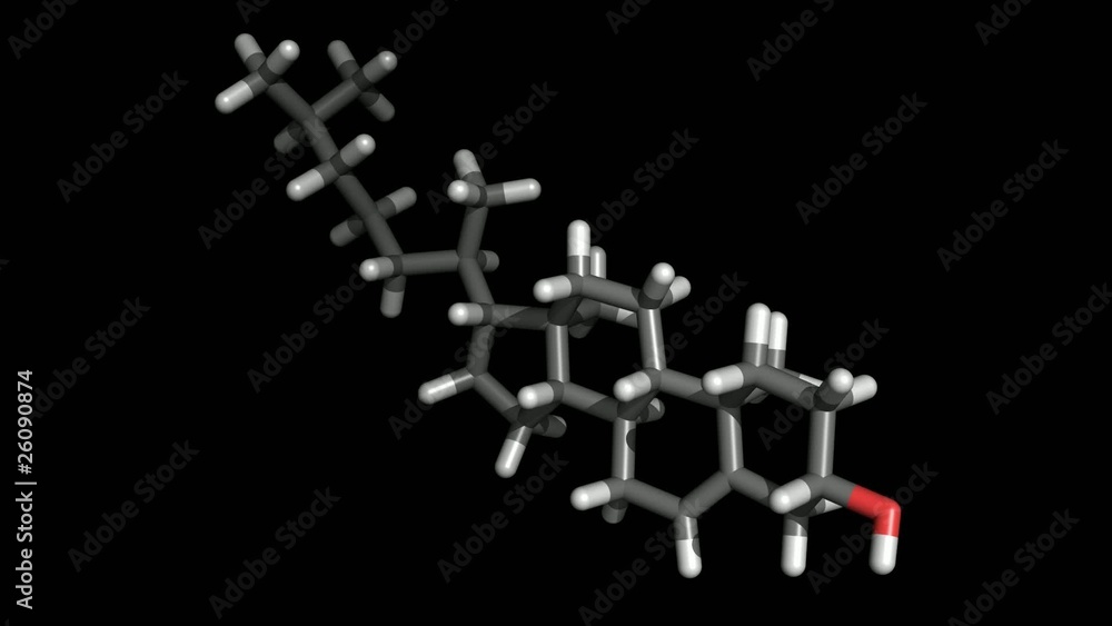 Molecular structure of Cholesterol Molecular structure of Cholesterol