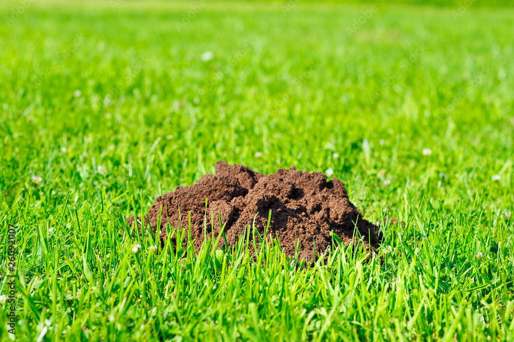 Soil hill Soil hill