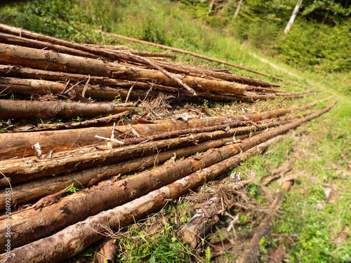 a pile of wood