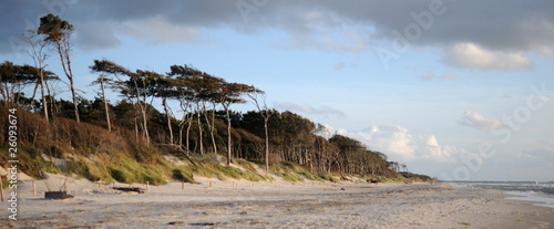 Weststrand Darß