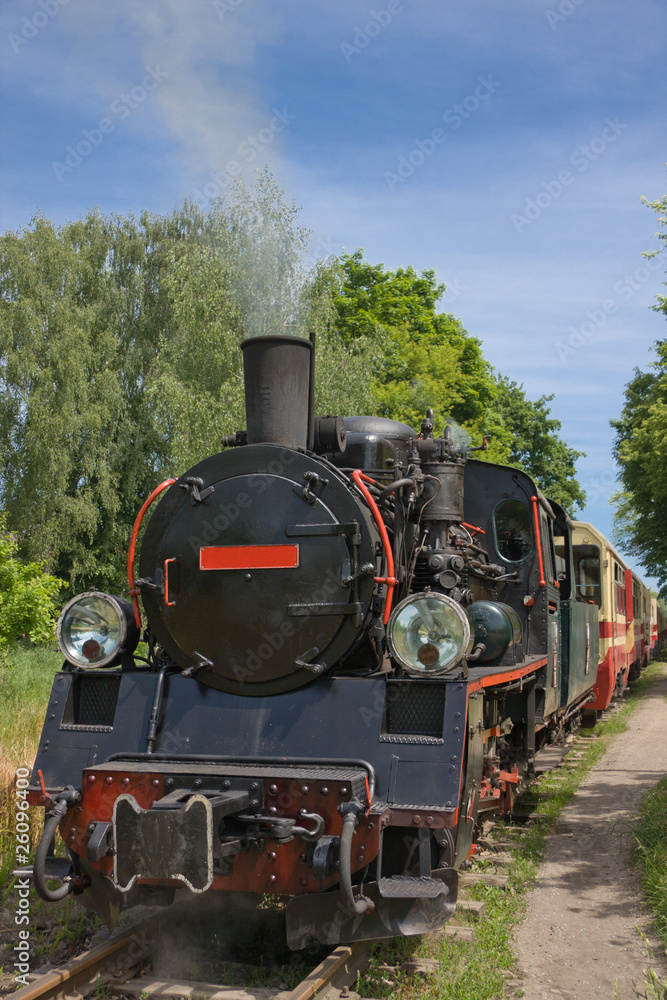Naklejka premium Vintage steam engine train