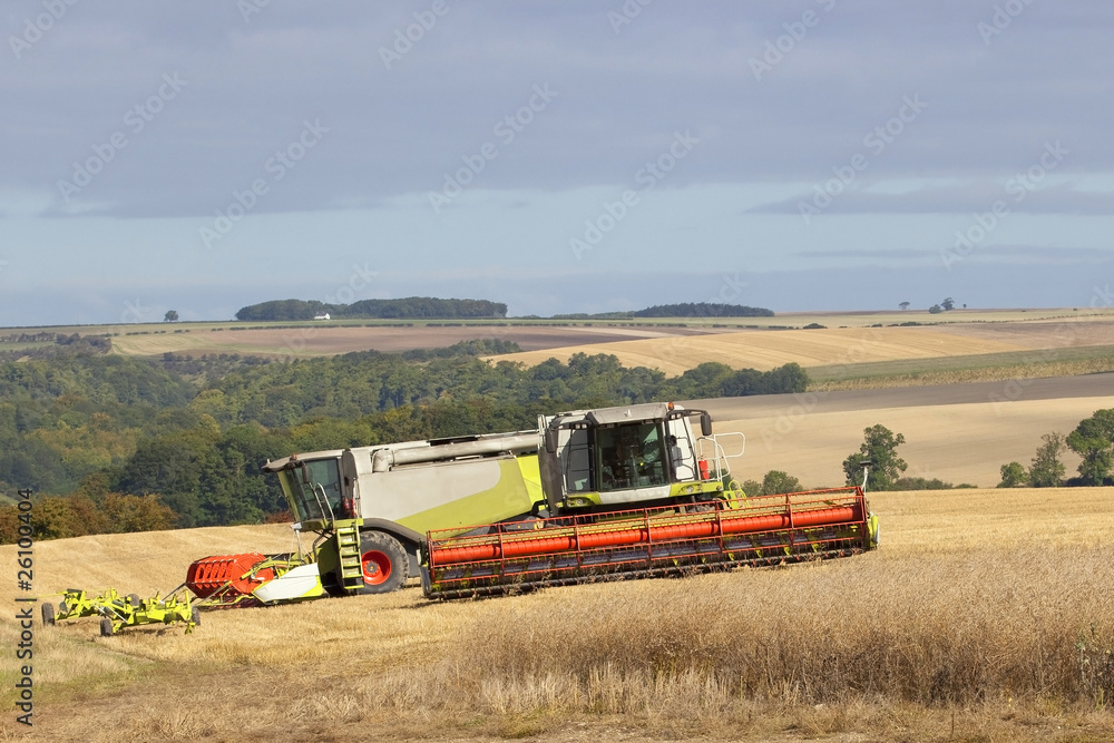 Obraz premium harvest landscape