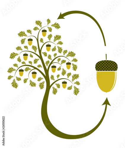 from seed to seed