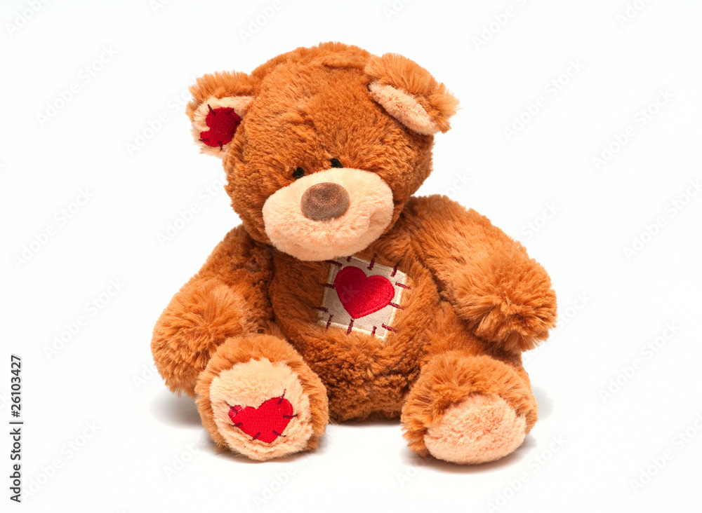 teddy bear on a white teddy bear on a white