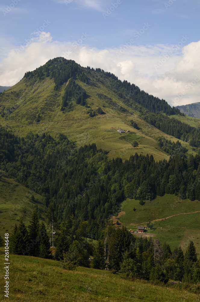 Obraz premium Alpage