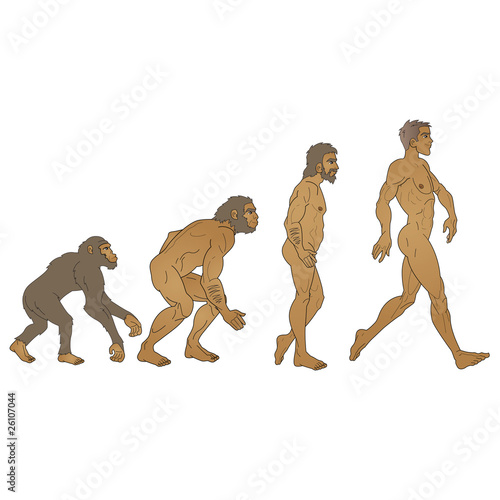 evolution de l'homme