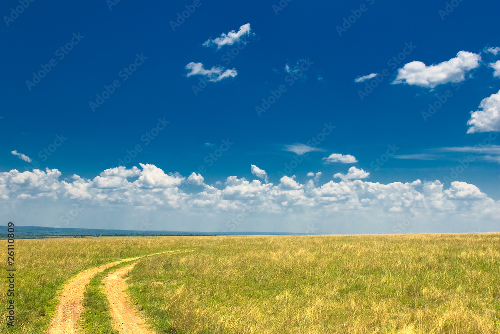 countryside road, green grass and blue sky countryside road, green grass and blue sky