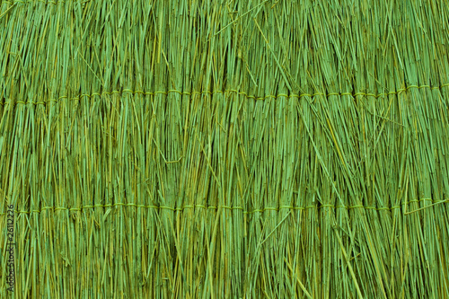 Green reed texture wallpaper