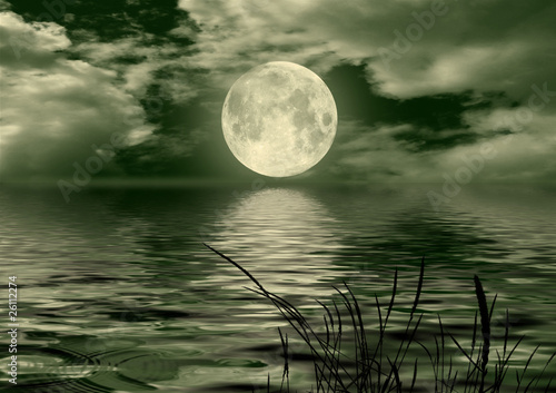 Pełny obraz księżyca z wodą