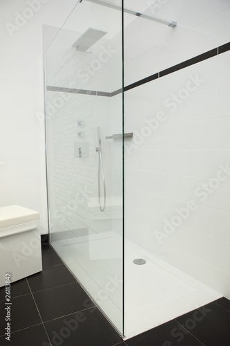 Grande Douche moderne et épurée