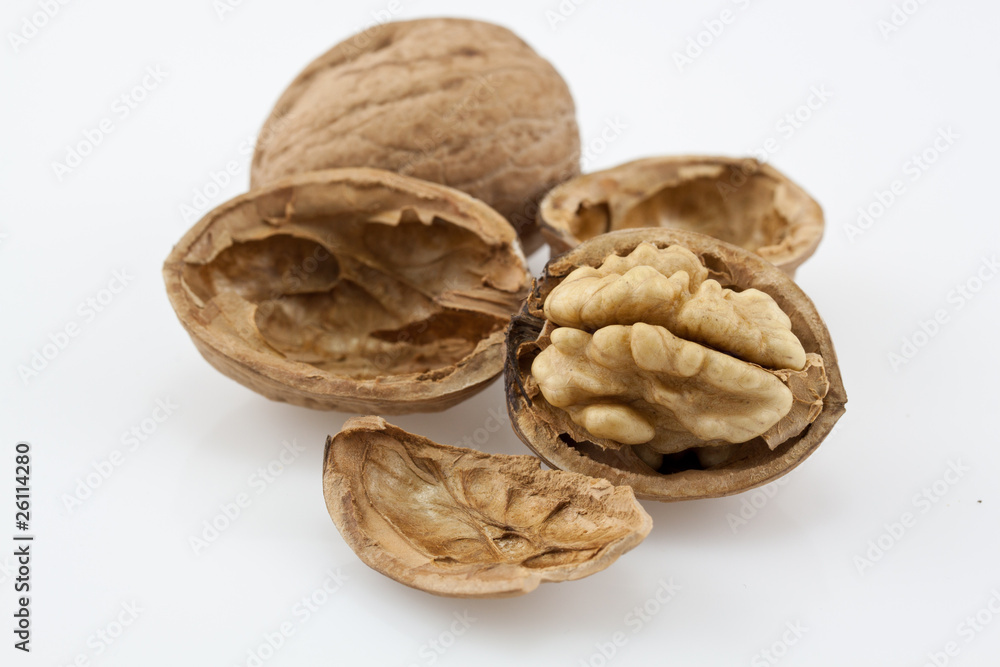 Close up shot of walnut on white background Close up shot of walnut on white background
