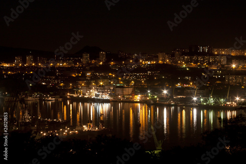 Ночной Владивосток, бухта Золотой Рог © arctic_observer
