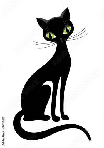 black cat
