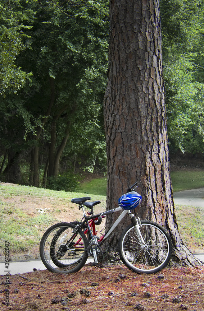 Naklejka premium Bicylces in Park