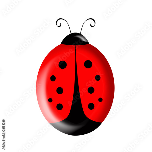 Ladybird Illustration