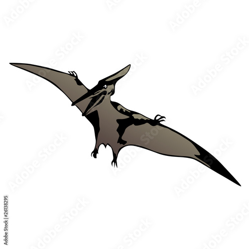 pteranodon vector illustration