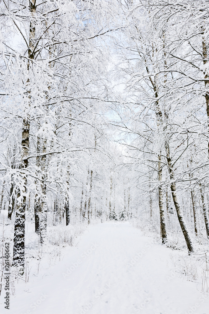 Naklejka premium Winter footpaths