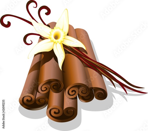 Vaniglia e Cannella-Vanilla and Cinnamon-Vector