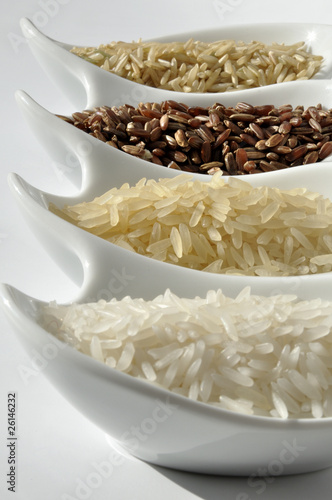 Rice varieties photo