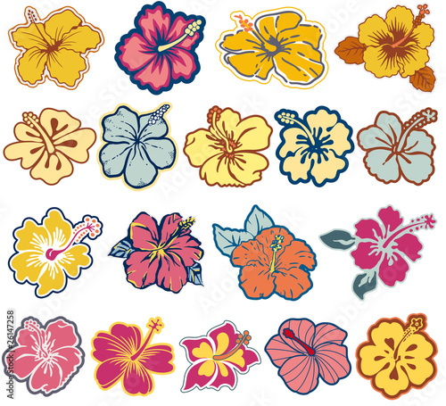 Hibiscus flowers vector icon set