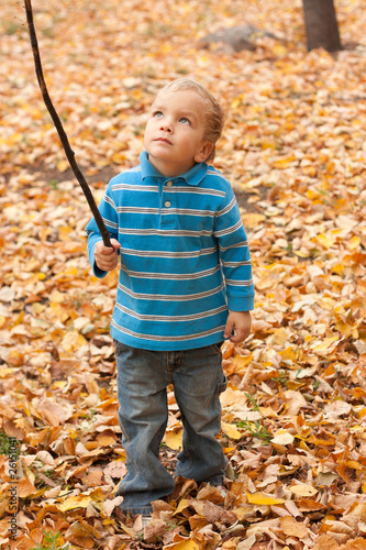 Small boy stands on the yellow leaves.