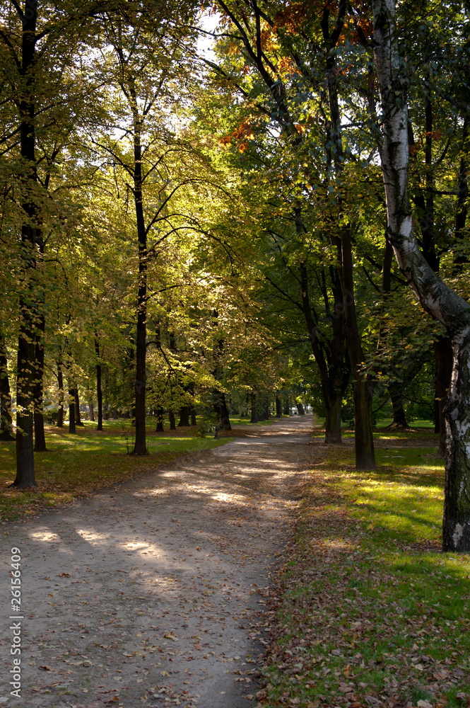 Park Saski in Autumn, Warsaw, Poland