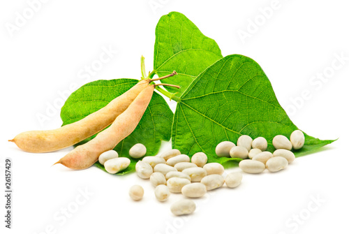 Fresh and dry kidney beans with leaves on white photo