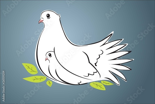 Two white pigeons