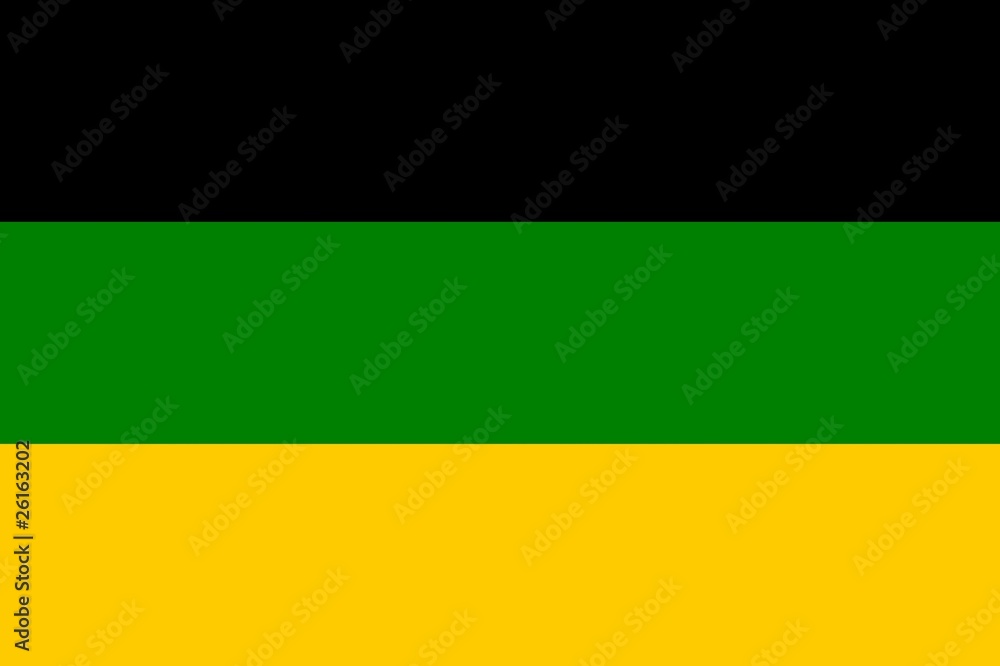 Drapeau de l'ANC, partie politique sud africain Drapeau de l'ANC, partie politique sud africain